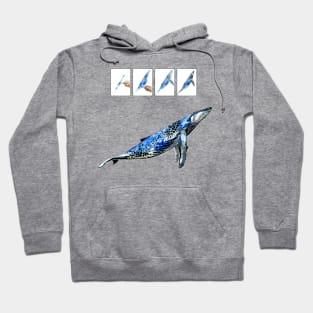 whale Hoodie